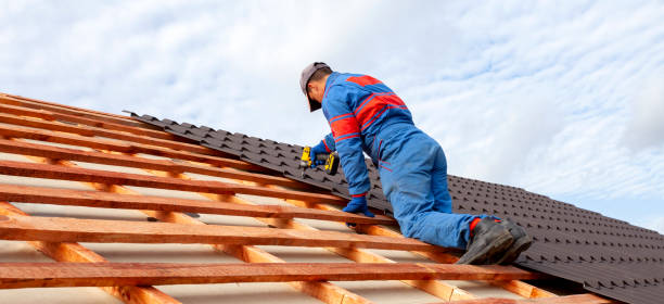 Best Chimney Flashing Repair  in Warrensburg, MO