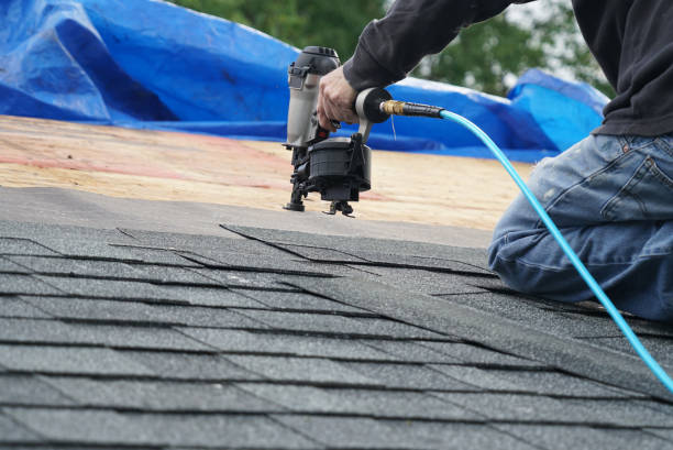 Best Solar Panel Roofing Installation  in Warrensburg, MO